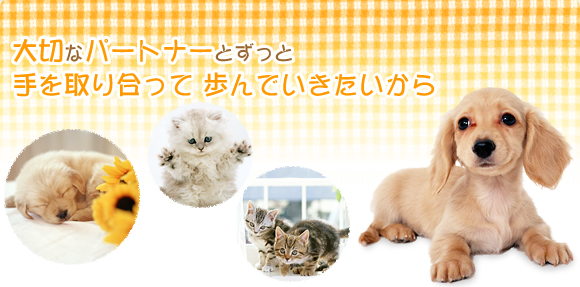 ホーム 動物病院 東広島市八本松町 犬 猫