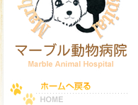 HOME 動物病院 東広島市八本松町 犬 猫